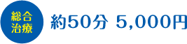 総合治療 約50分 5,000円