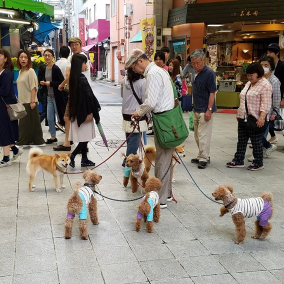 犬おじさん