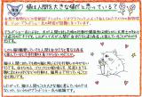 猫と人間