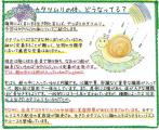 カタツムリの殻の中は？